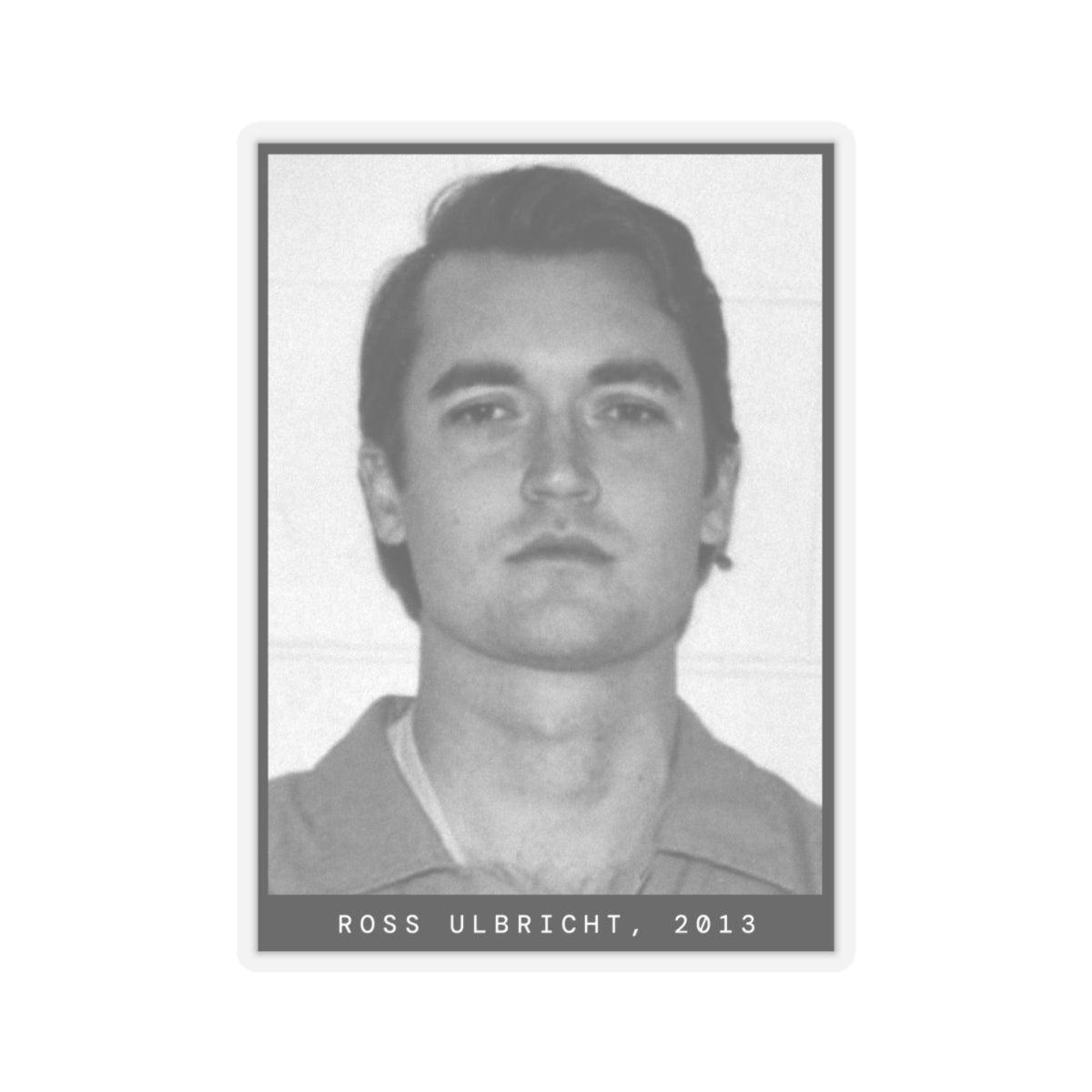 Ross Ulbricht, 2013 Silkroad Mugshot Sticker