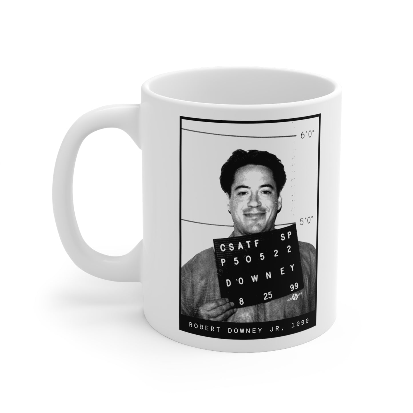 Robert Downey Jr. 1999 Actor Mugshot Mug