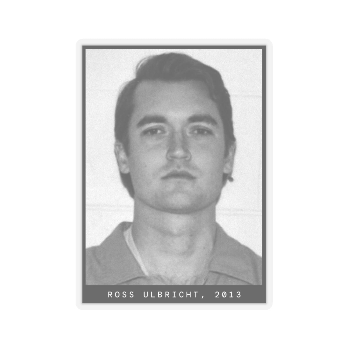 Ross Ulbricht, 2013 Silkroad Mugshot Sticker