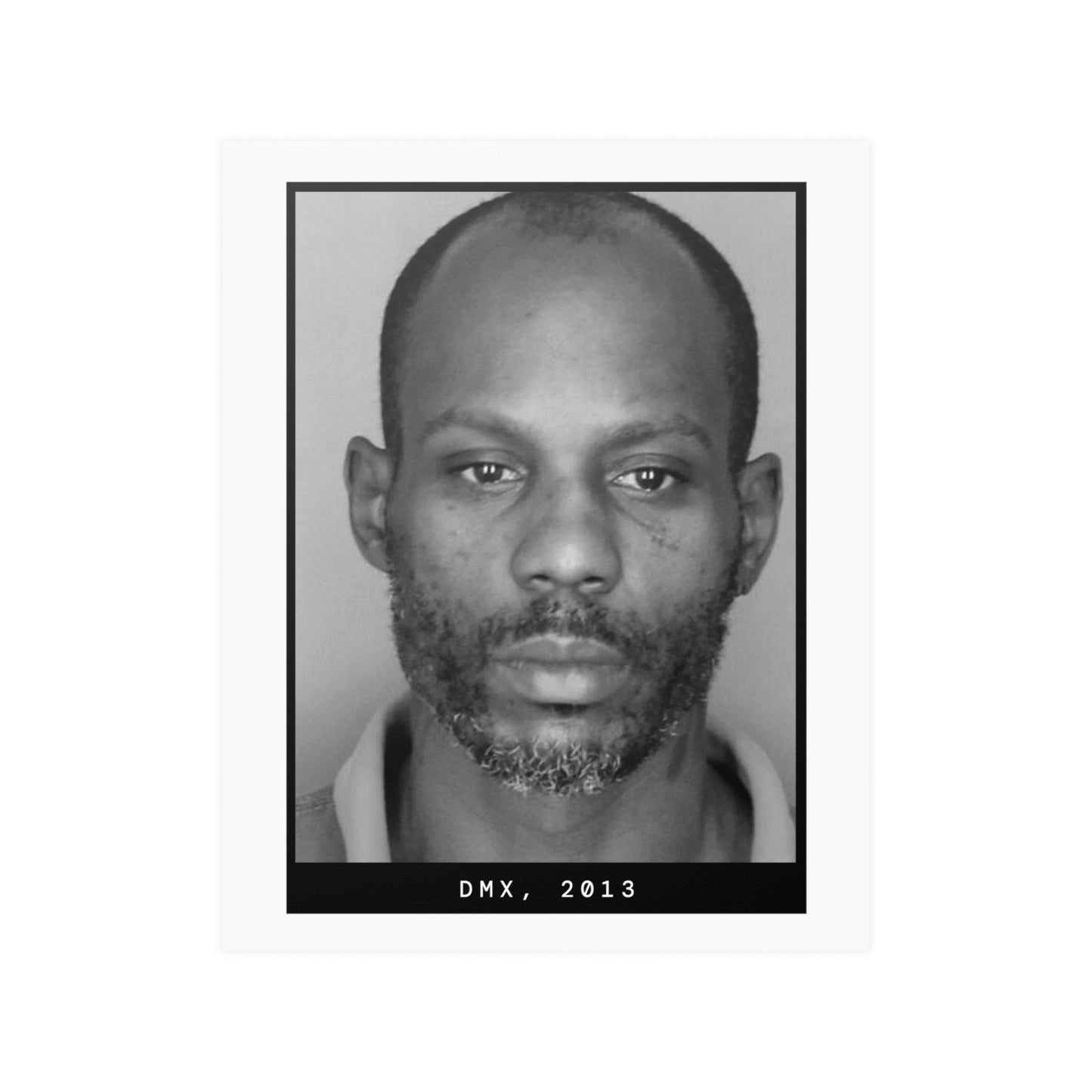 DMX, 2013 Rapper Mugshot Poster