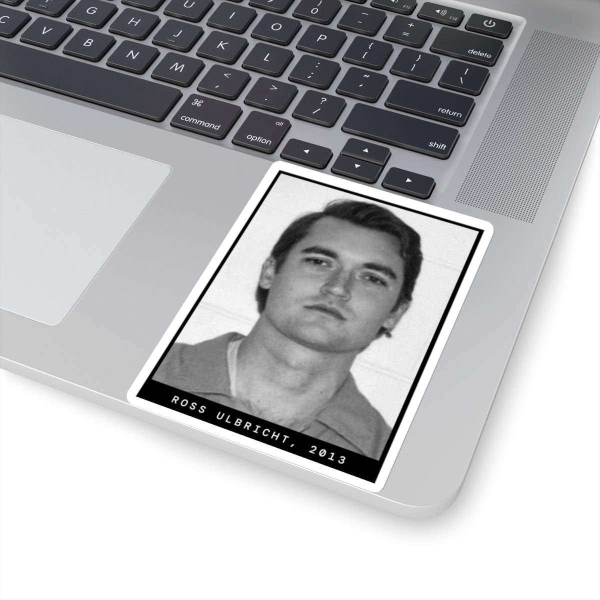 Ross Ulbricht, 2013 Silkroad Mugshot Sticker