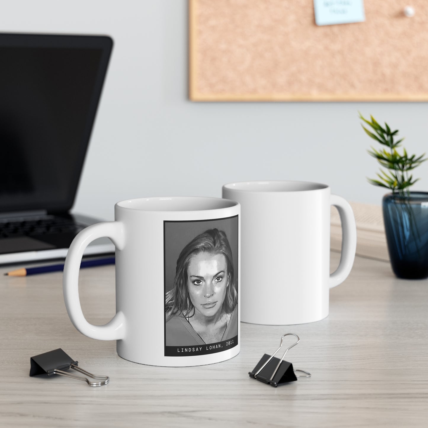 Lindsay Lohan, 2011 Actress Mugshot Mug