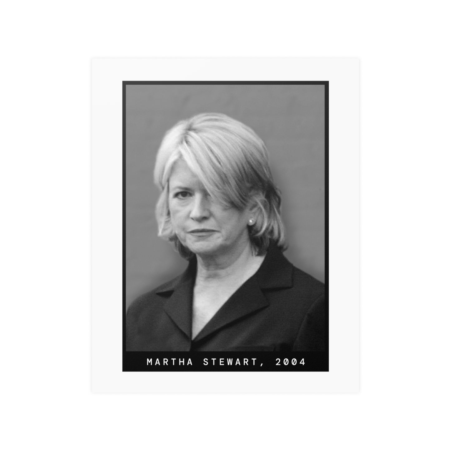 Martha Stewart, 2004 Celebrity Mugshot Poster